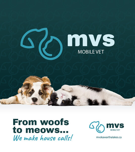 MVS Mobile Vet branding